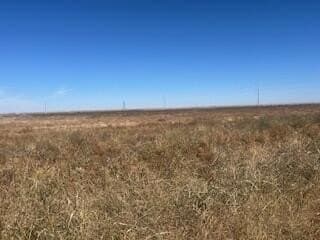 10 acres in Lynn County gallery image 4