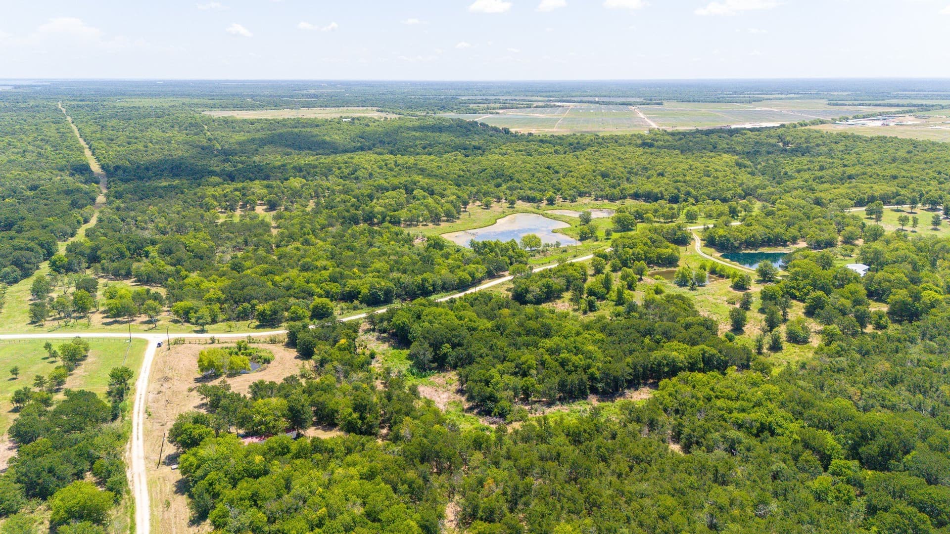 6.4 acres in Navarro County - photo 12