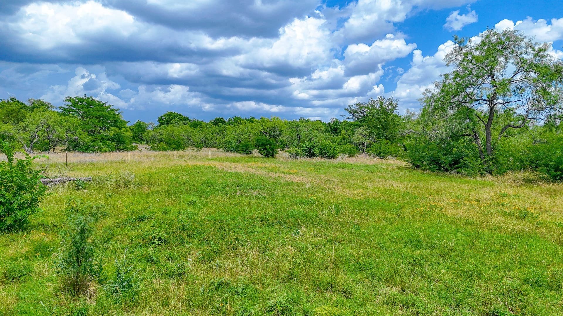 2 acres in Navarro County - photo 16