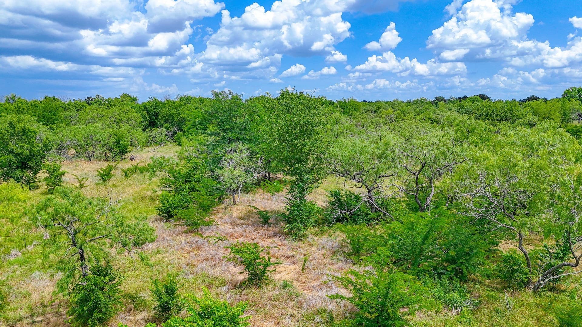 2 acres in Navarro County - photo 19