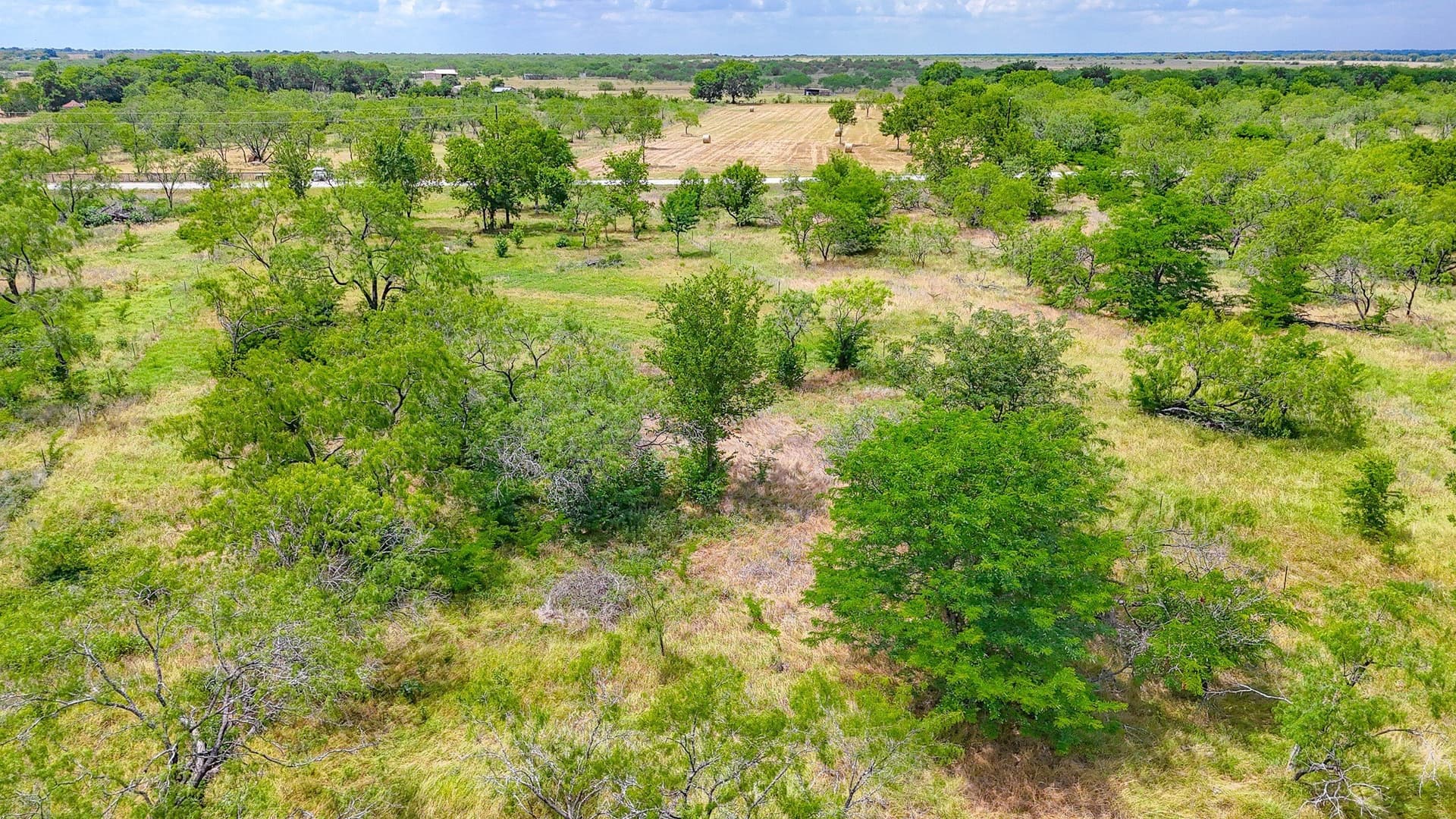 2 acres in Navarro County - photo 22