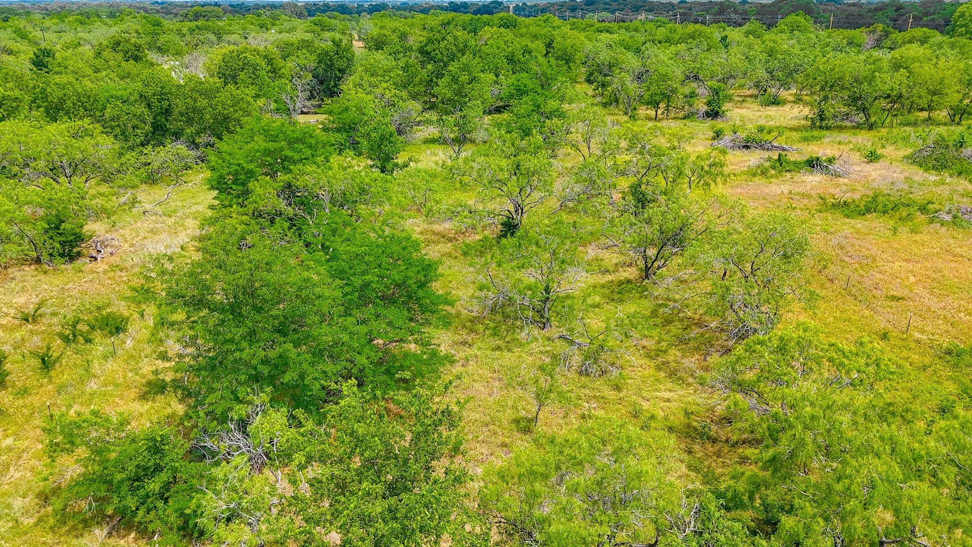 2 acres in Navarro County - photo 20