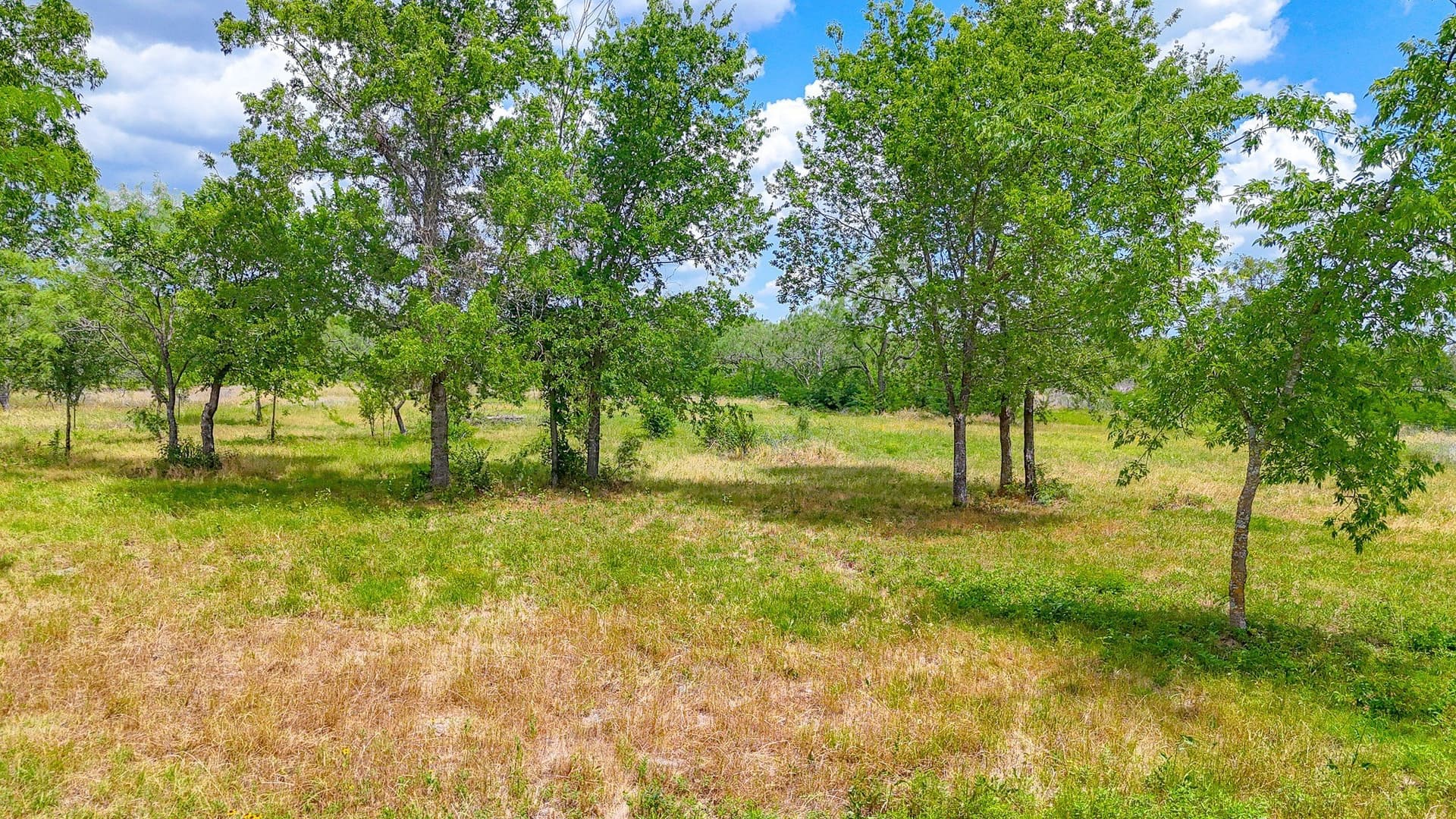 2 acres in Navarro County - photo 14