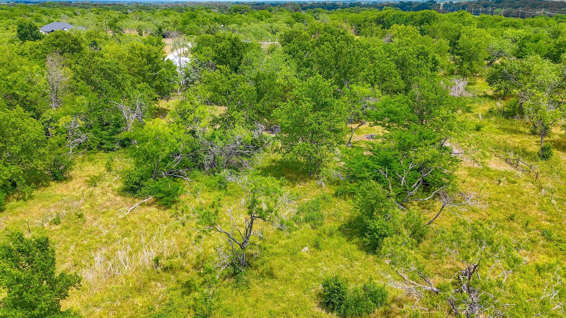 2 acres in Navarro County - photo 21