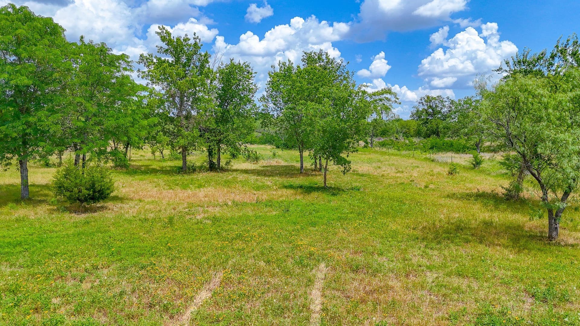 2 acres in Navarro County - photo 12