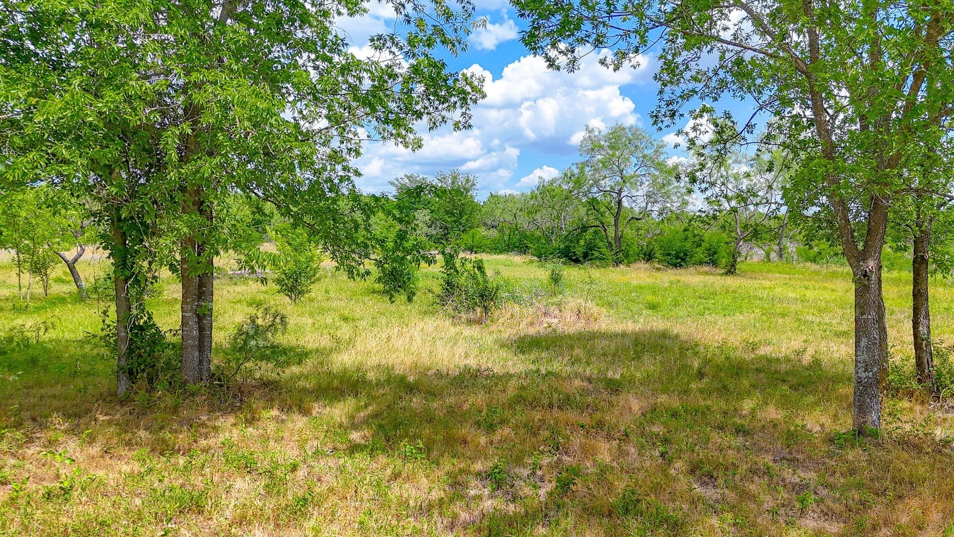 2 acres in Navarro County - photo 15
