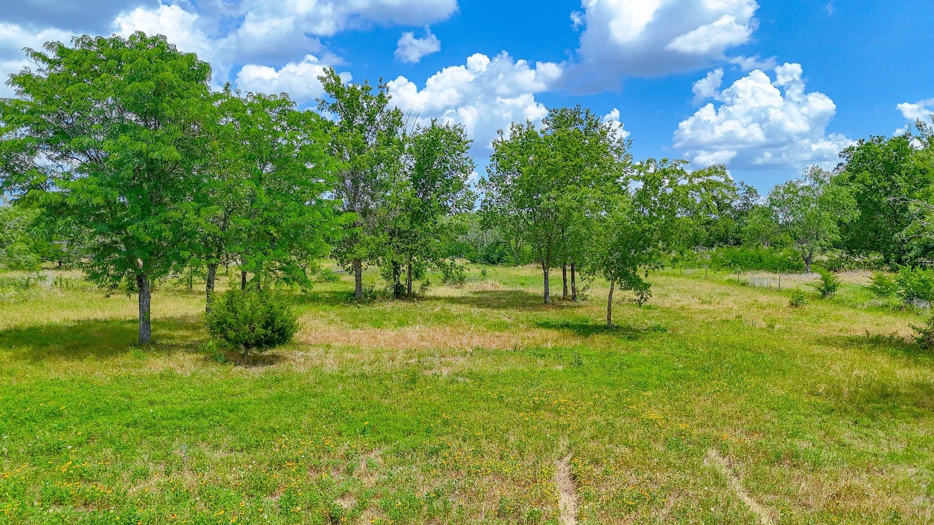 2 acres in Navarro County - photo 13