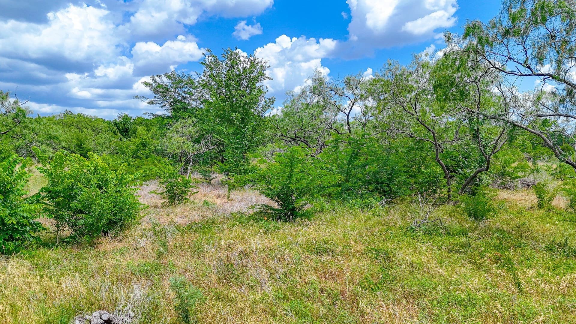 2 acres in Navarro County - photo 18