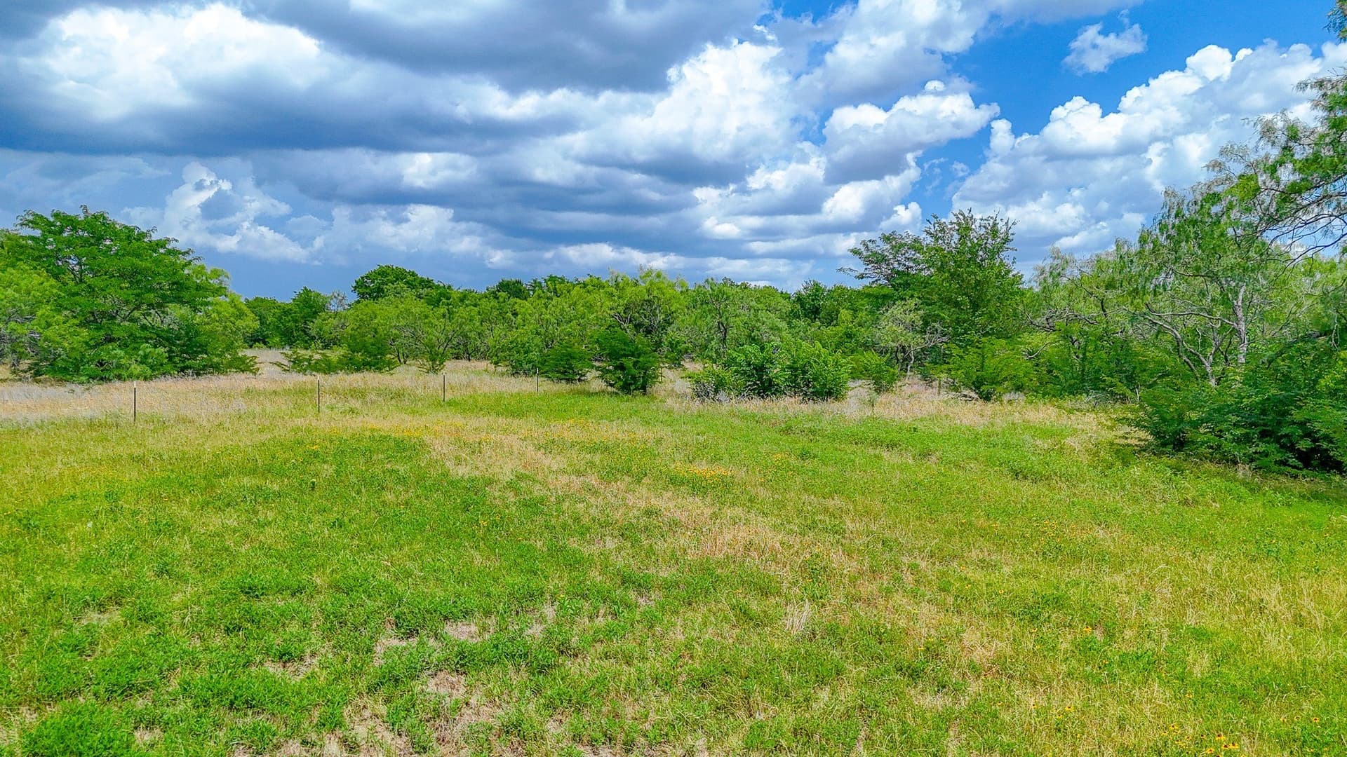 2 acres in Navarro County - photo 17
