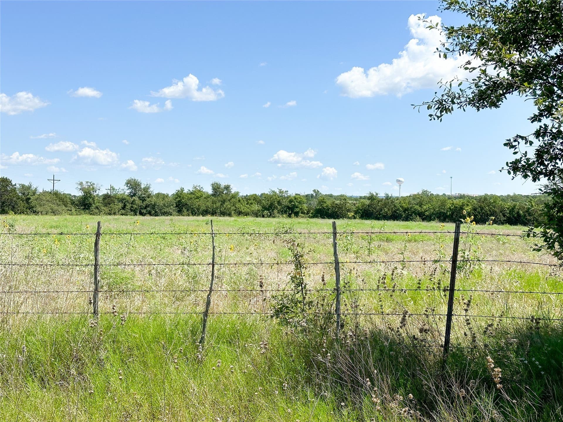 116 acres in Coryell County - photo 18