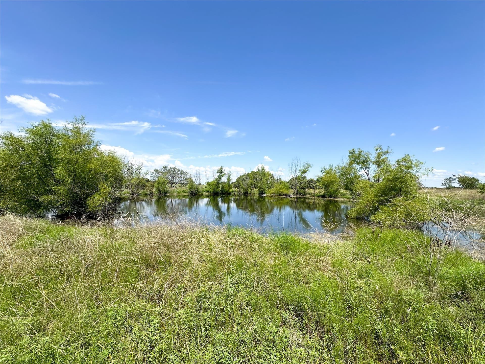 116 acres in Coryell County - photo 13