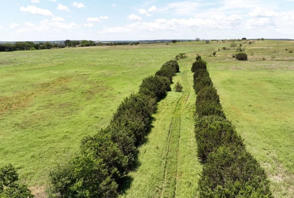 116 acres in Coryell County - photo 27