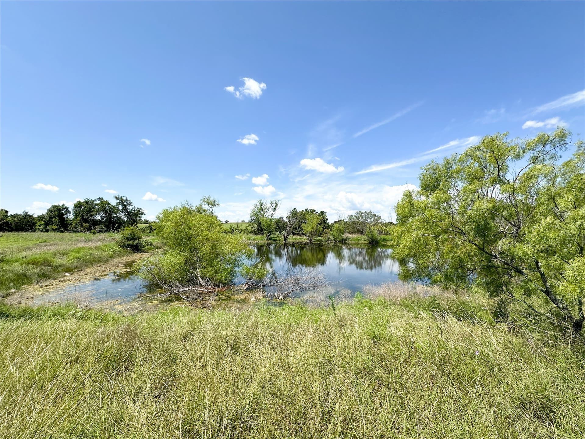 116 acres in Coryell County - photo 14