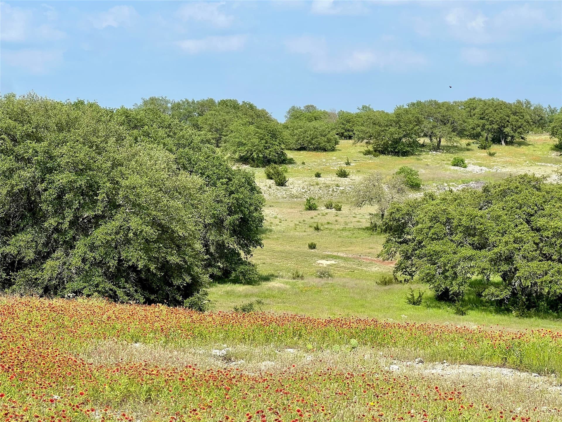 425.52 acres in Bosque County - photo 13
