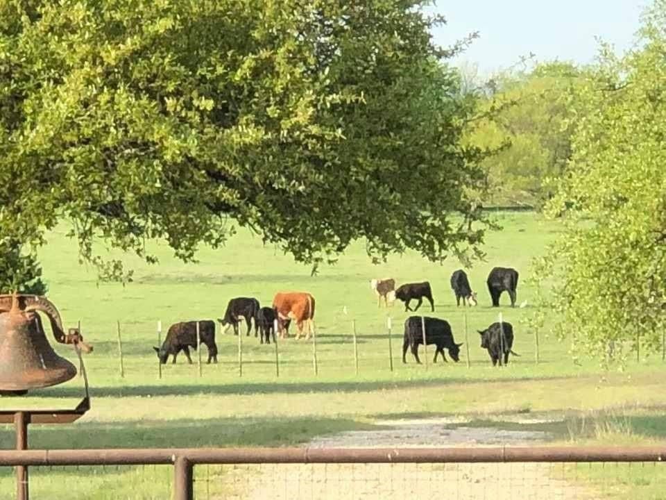425.52 acres in Bosque County