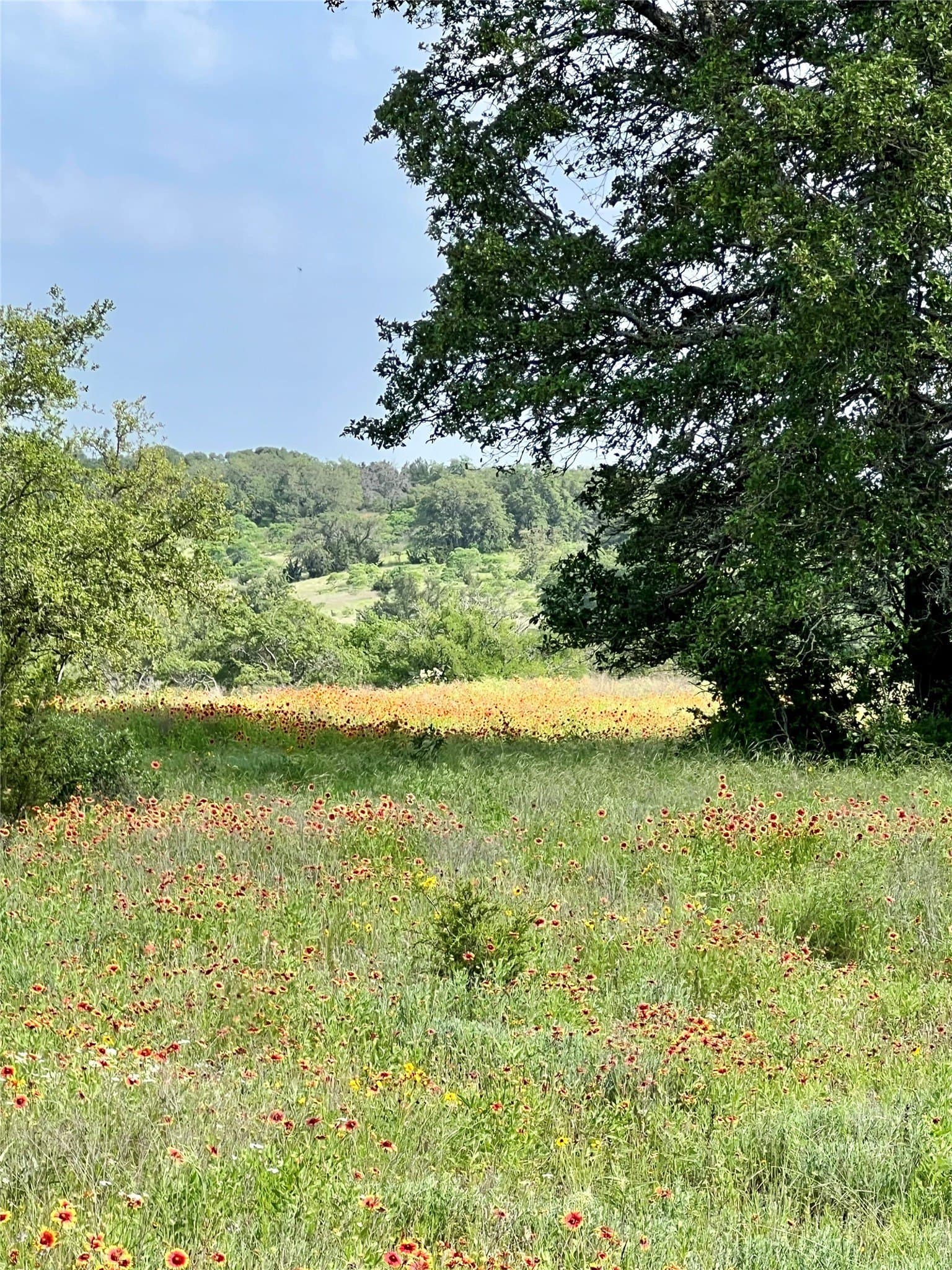 425.52 acres in Bosque County - photo 14
