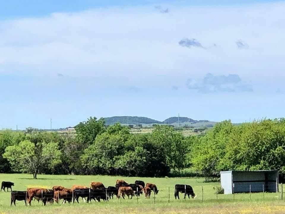 425.52 acres in Bosque County gallery image 4