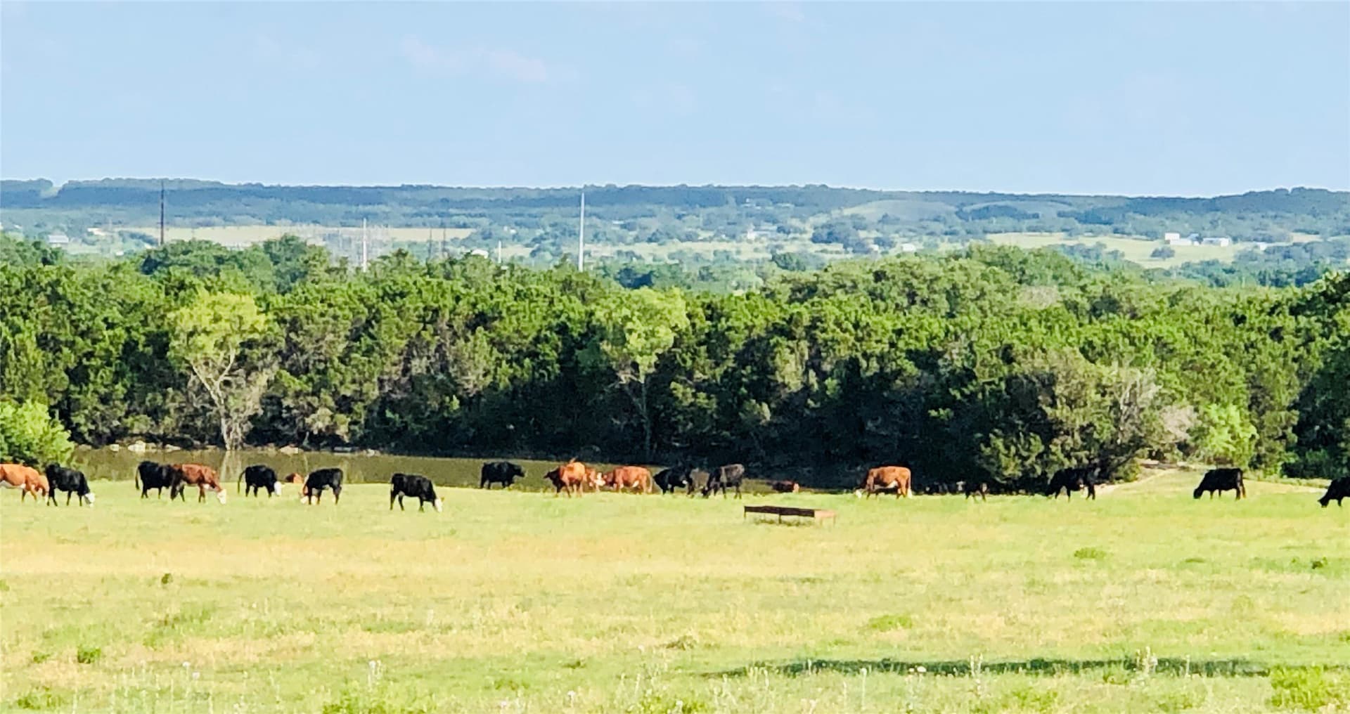 425.52 acres in Bosque County - photo 18