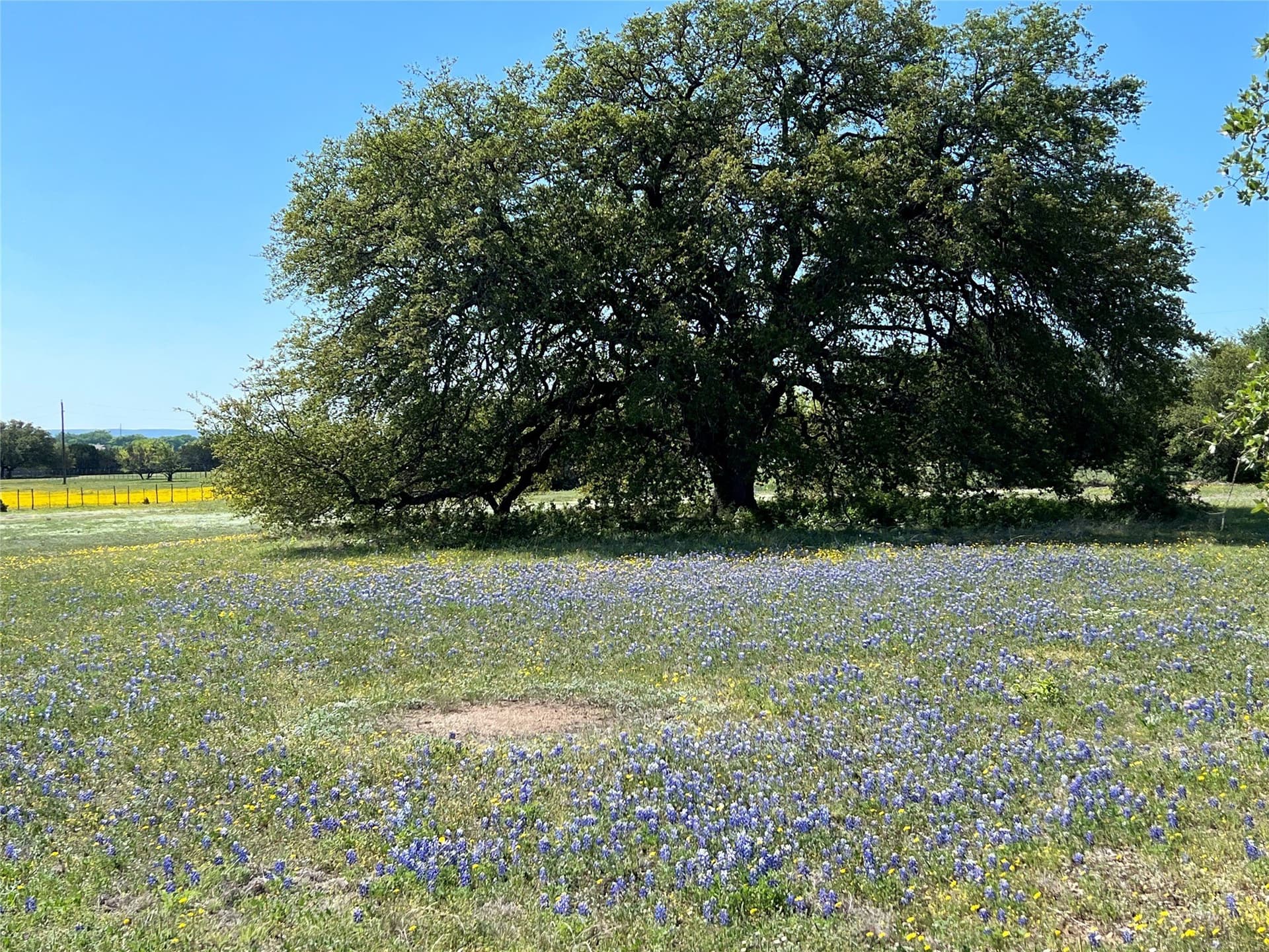 425.52 acres in Bosque County - photo 17
