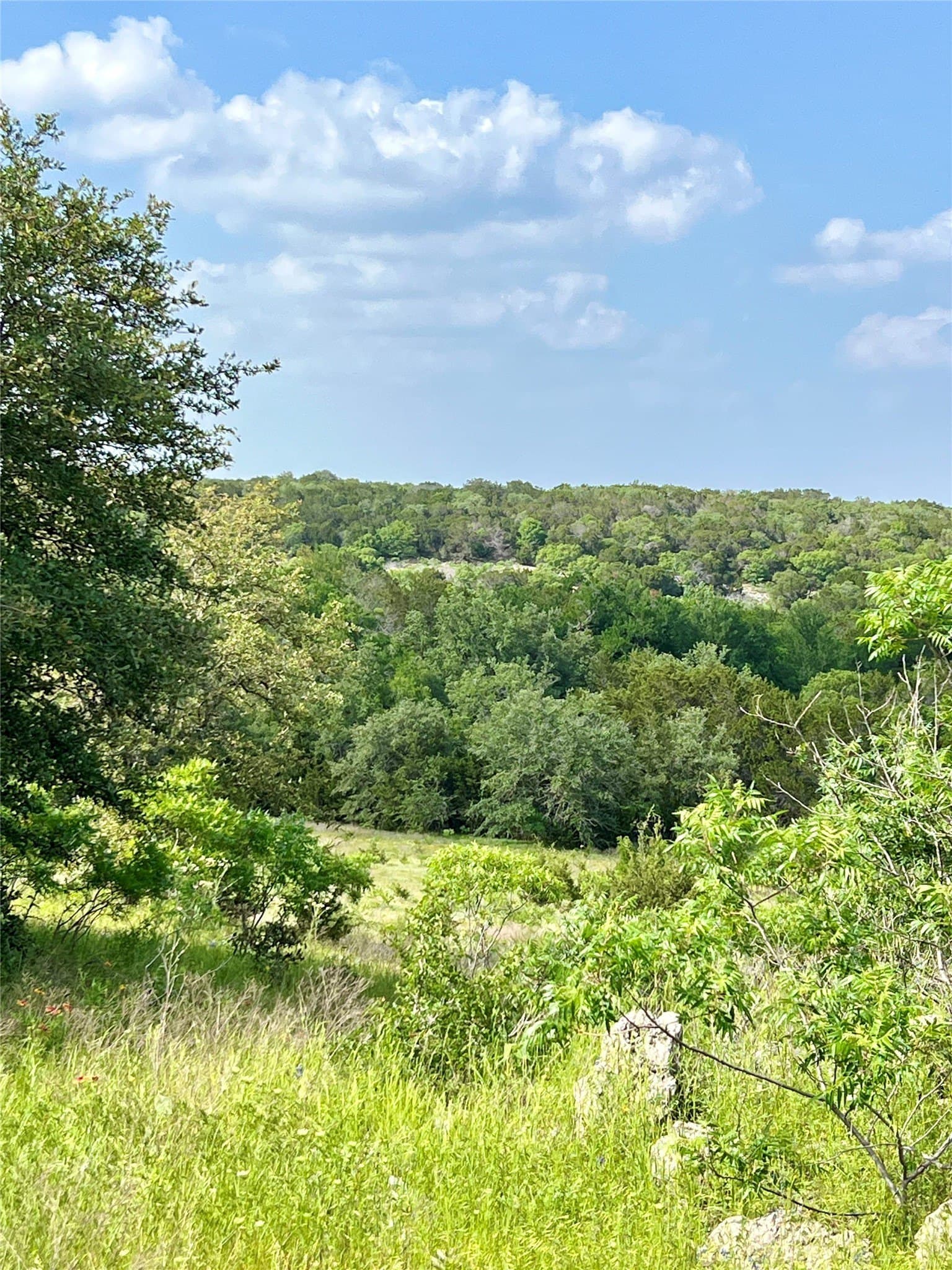 425.52 acres in Bosque County - photo 16