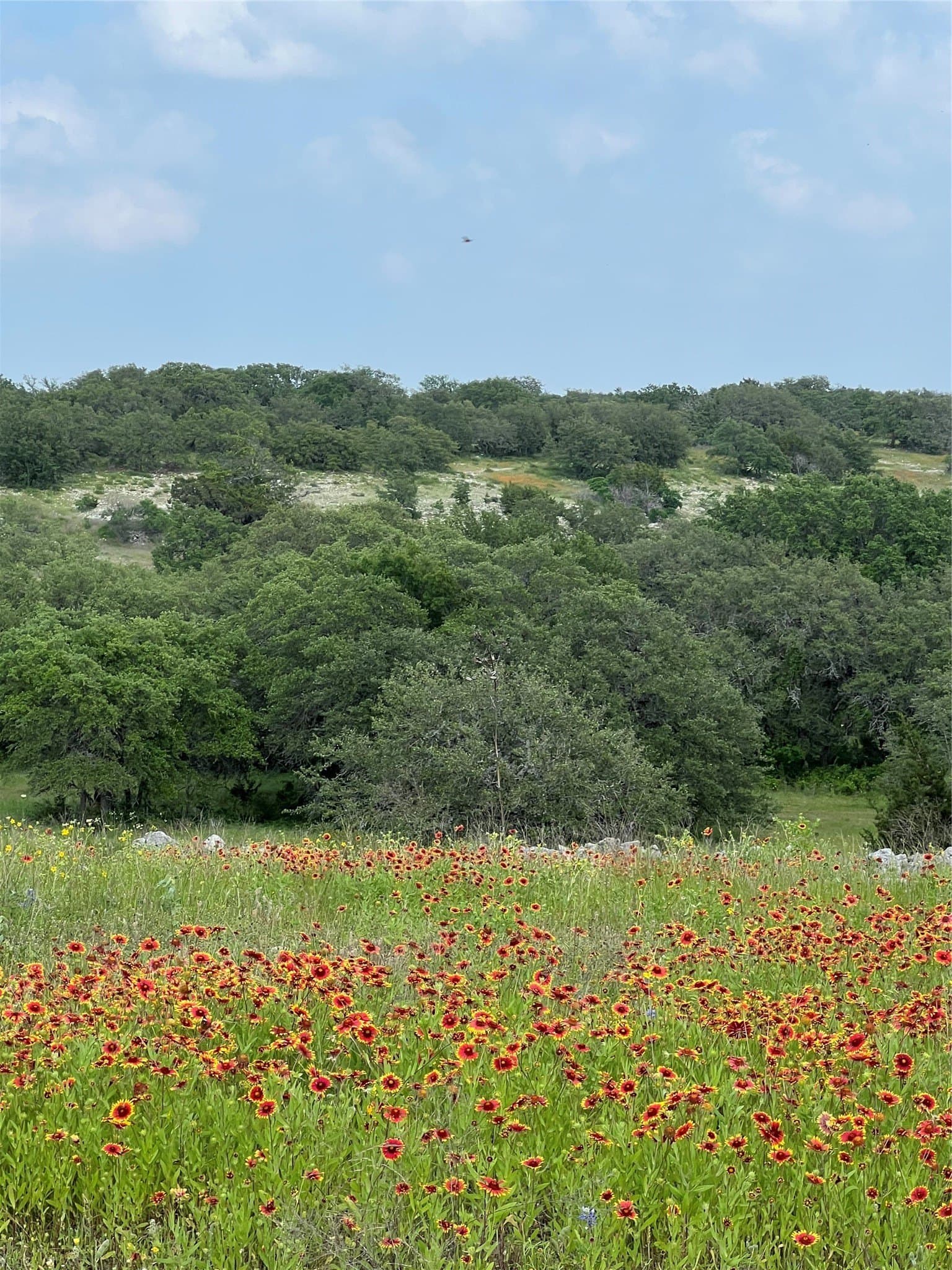 425.52 acres in Bosque County - photo 15