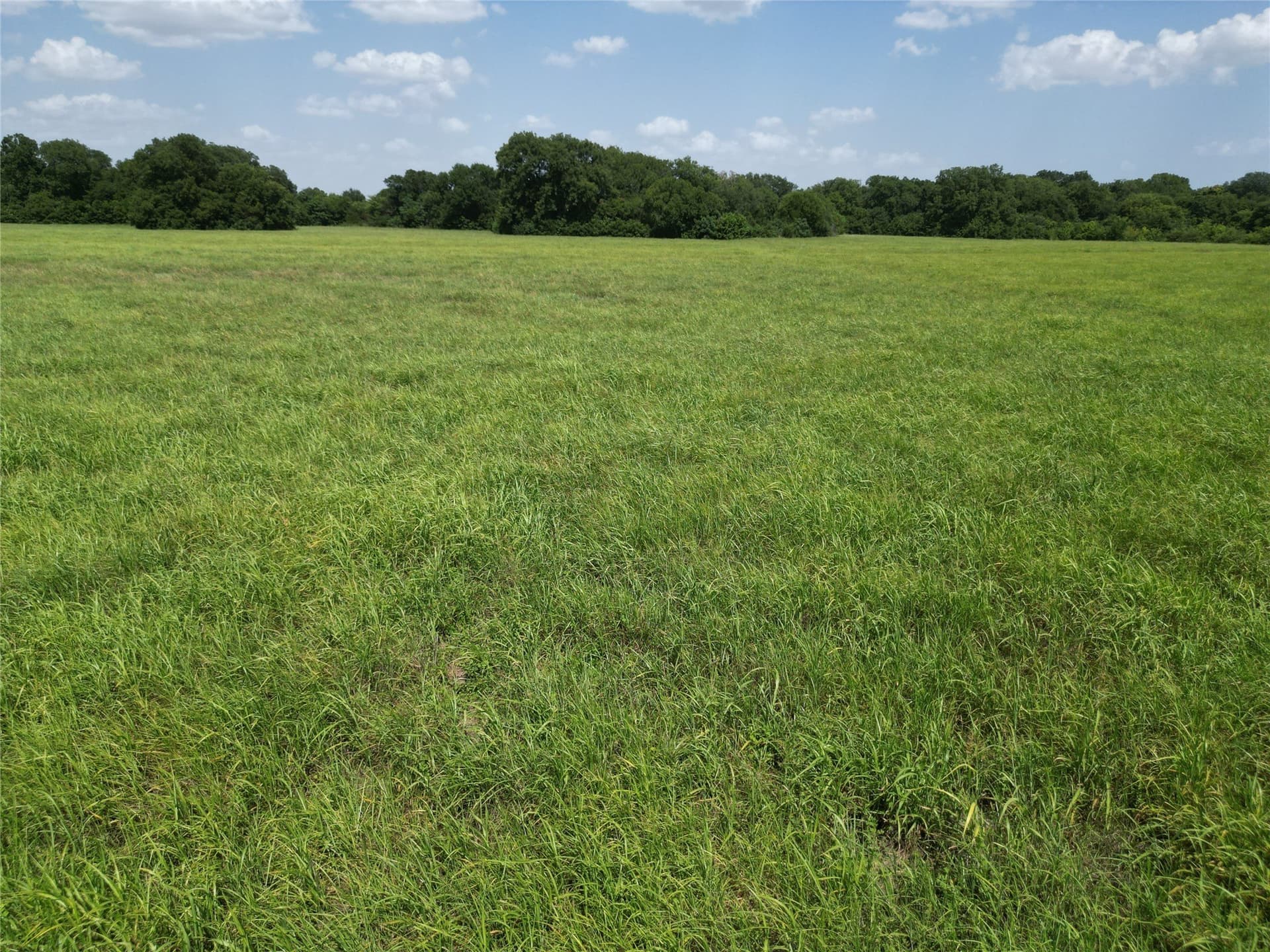 48.85 acres in Ellis County - photo 33