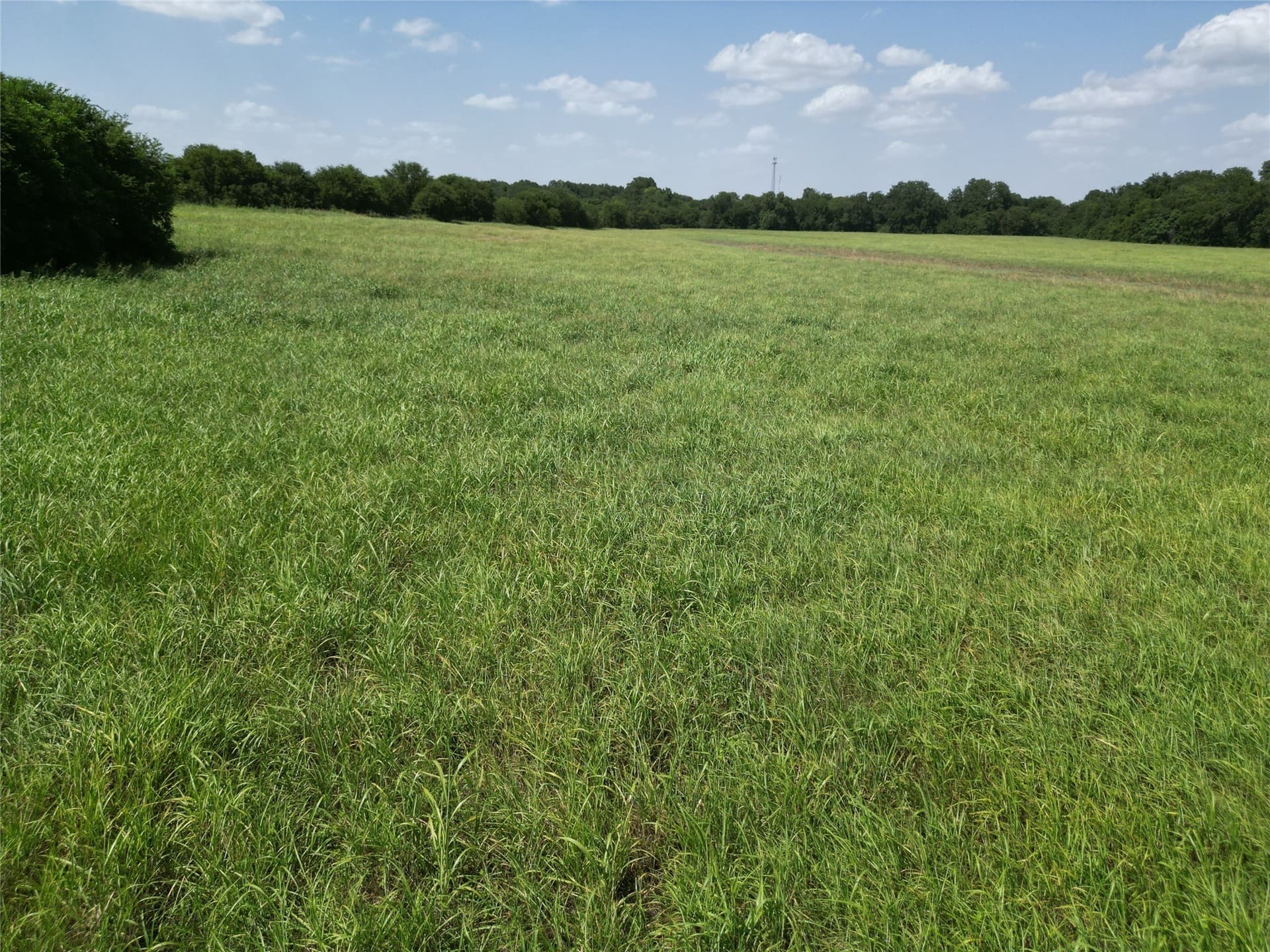 48.85 acres in Ellis County - photo 32