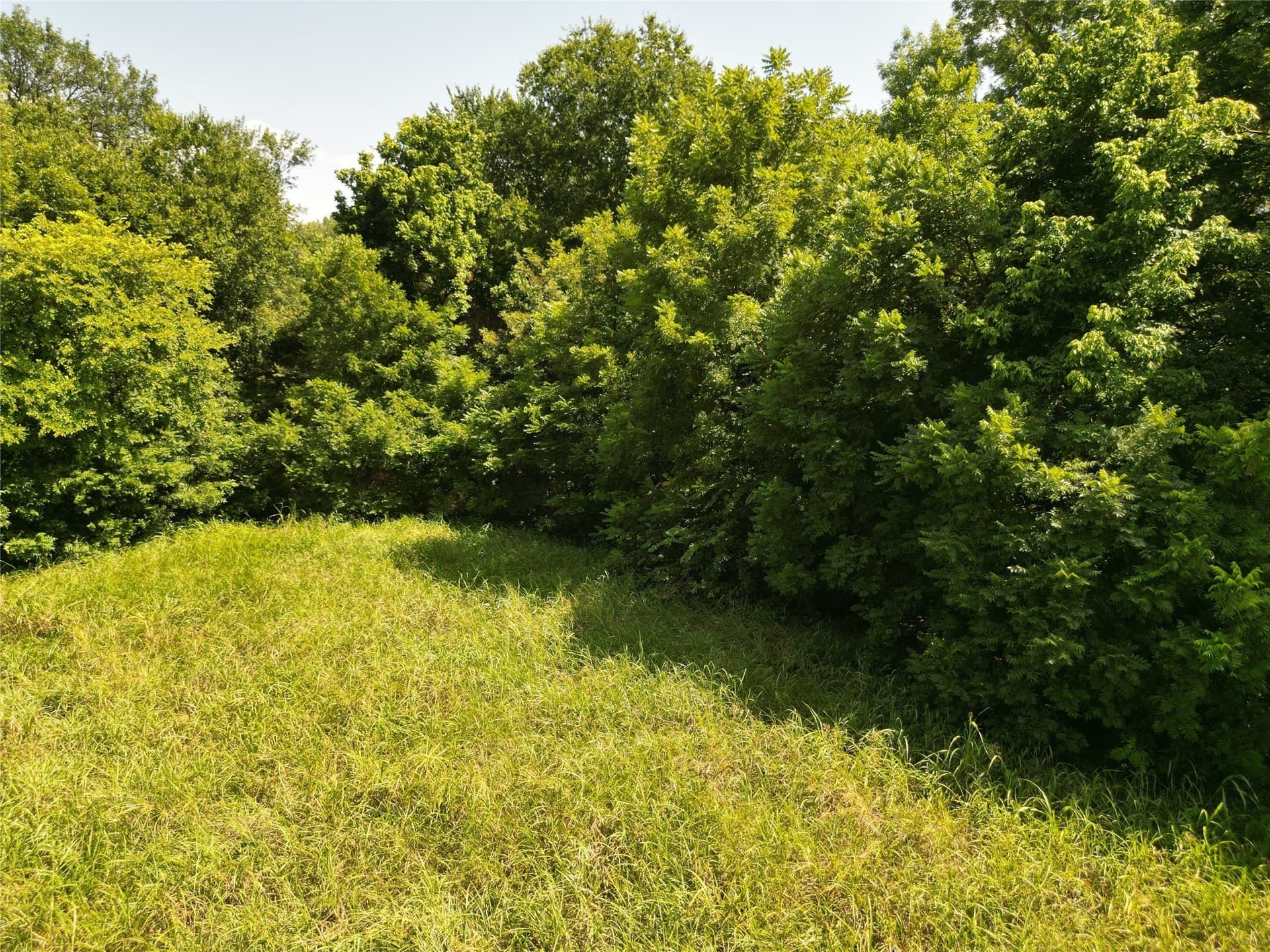 48.85 acres in Ellis County - photo 24