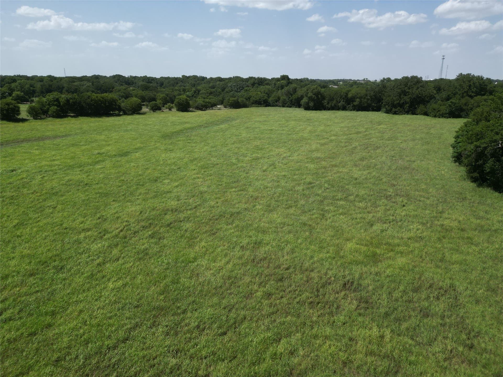 48.85 acres in Ellis County - photo 4