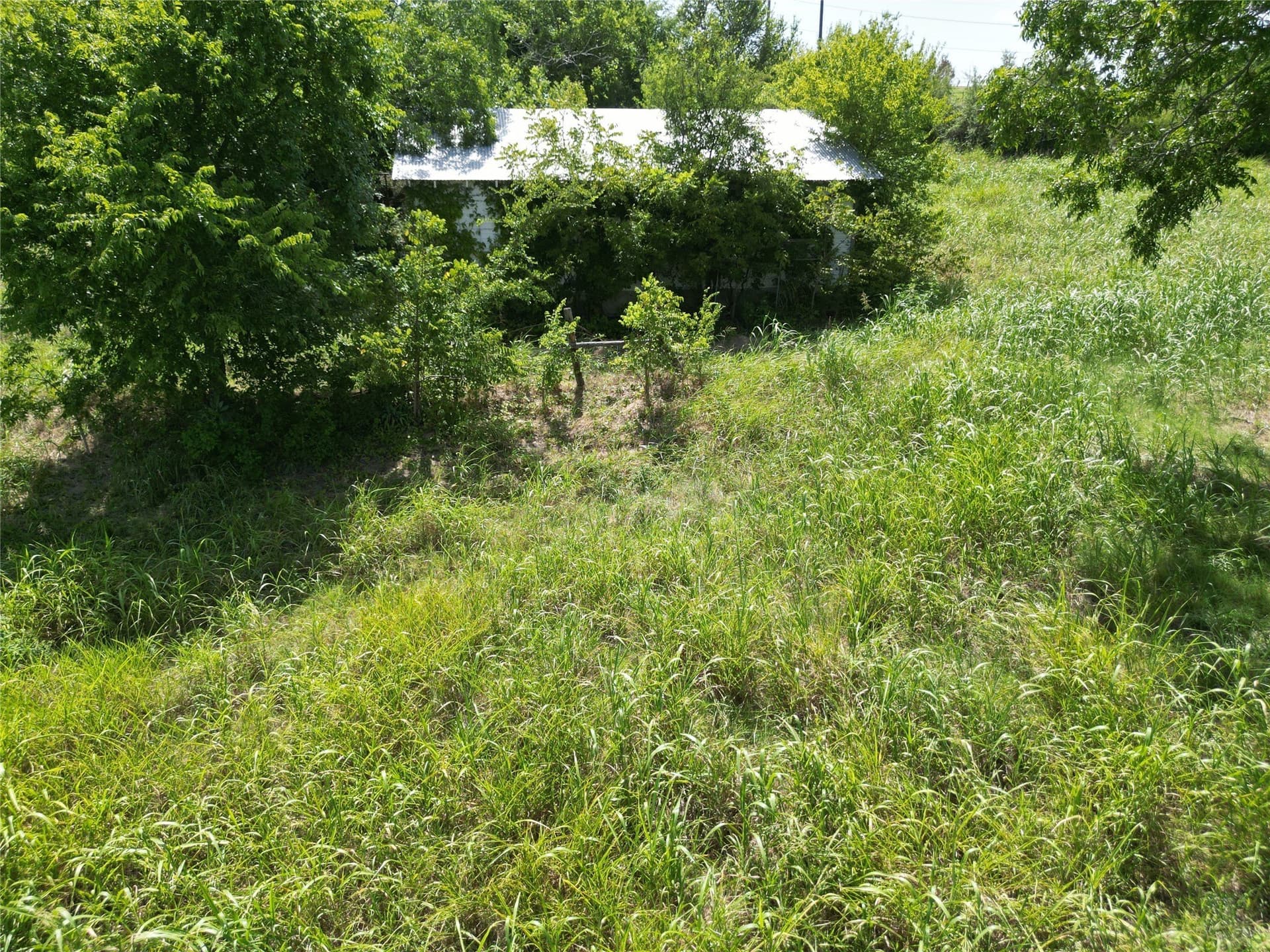 48.85 acres in Ellis County - photo 17