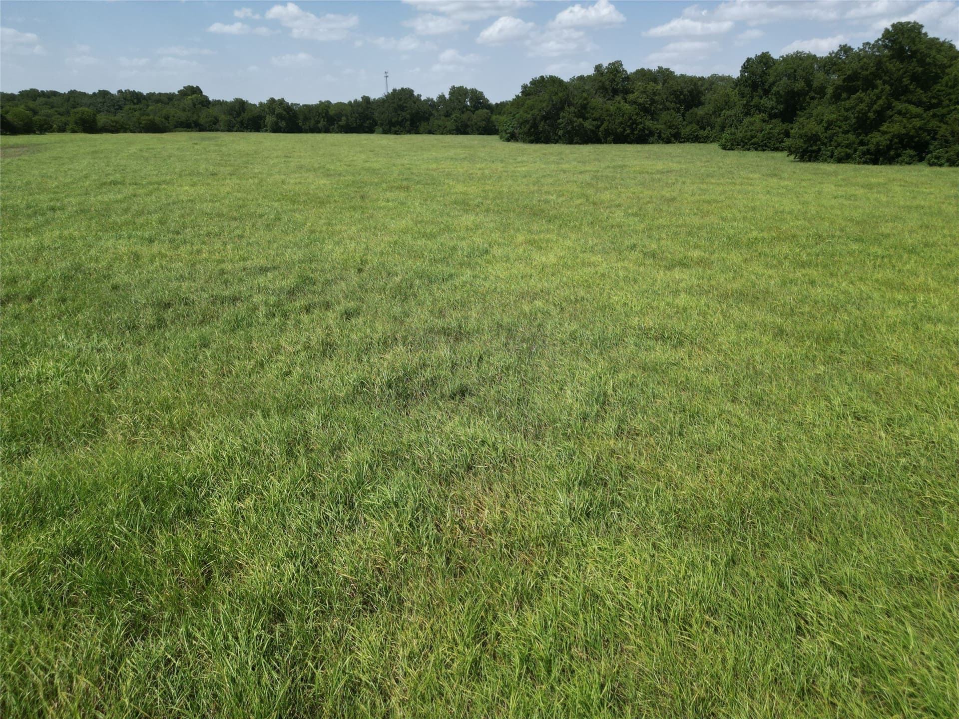 48.85 acres in Ellis County - photo 29