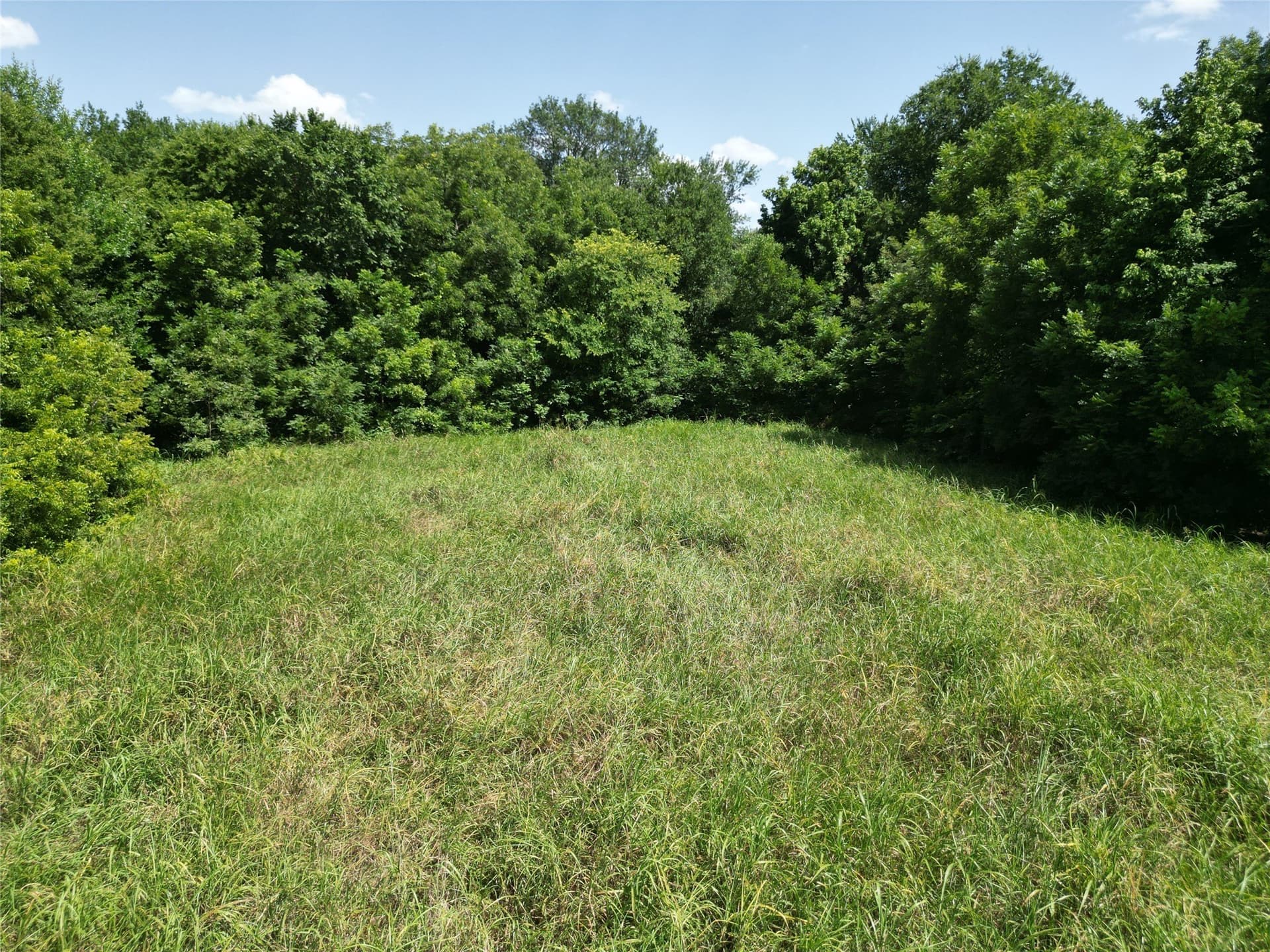 48.85 acres in Ellis County - photo 23