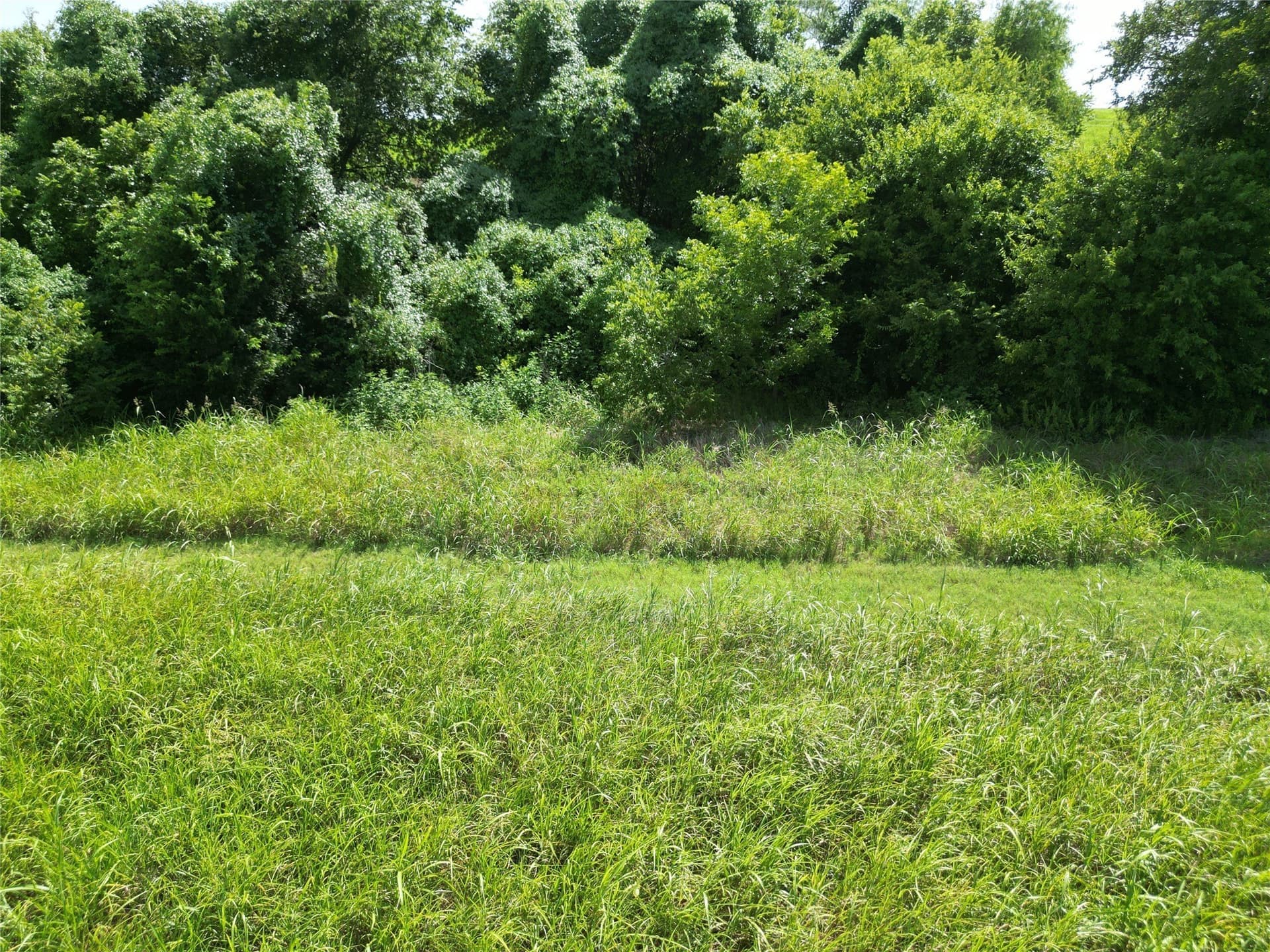 48.85 acres in Ellis County - photo 35