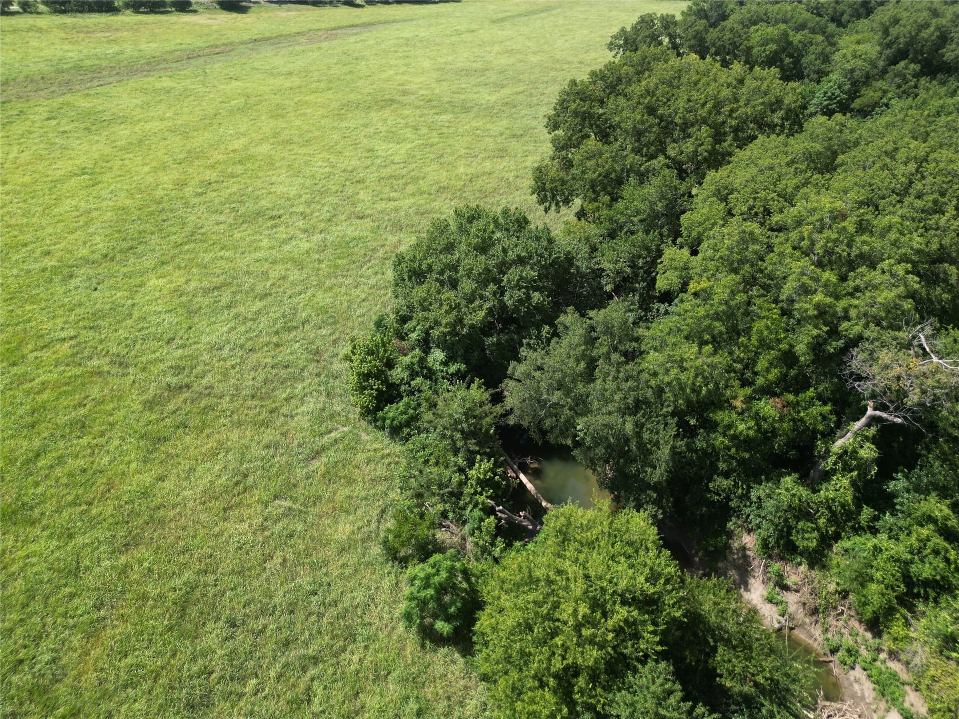 48.85 acres in Ellis County - photo 26