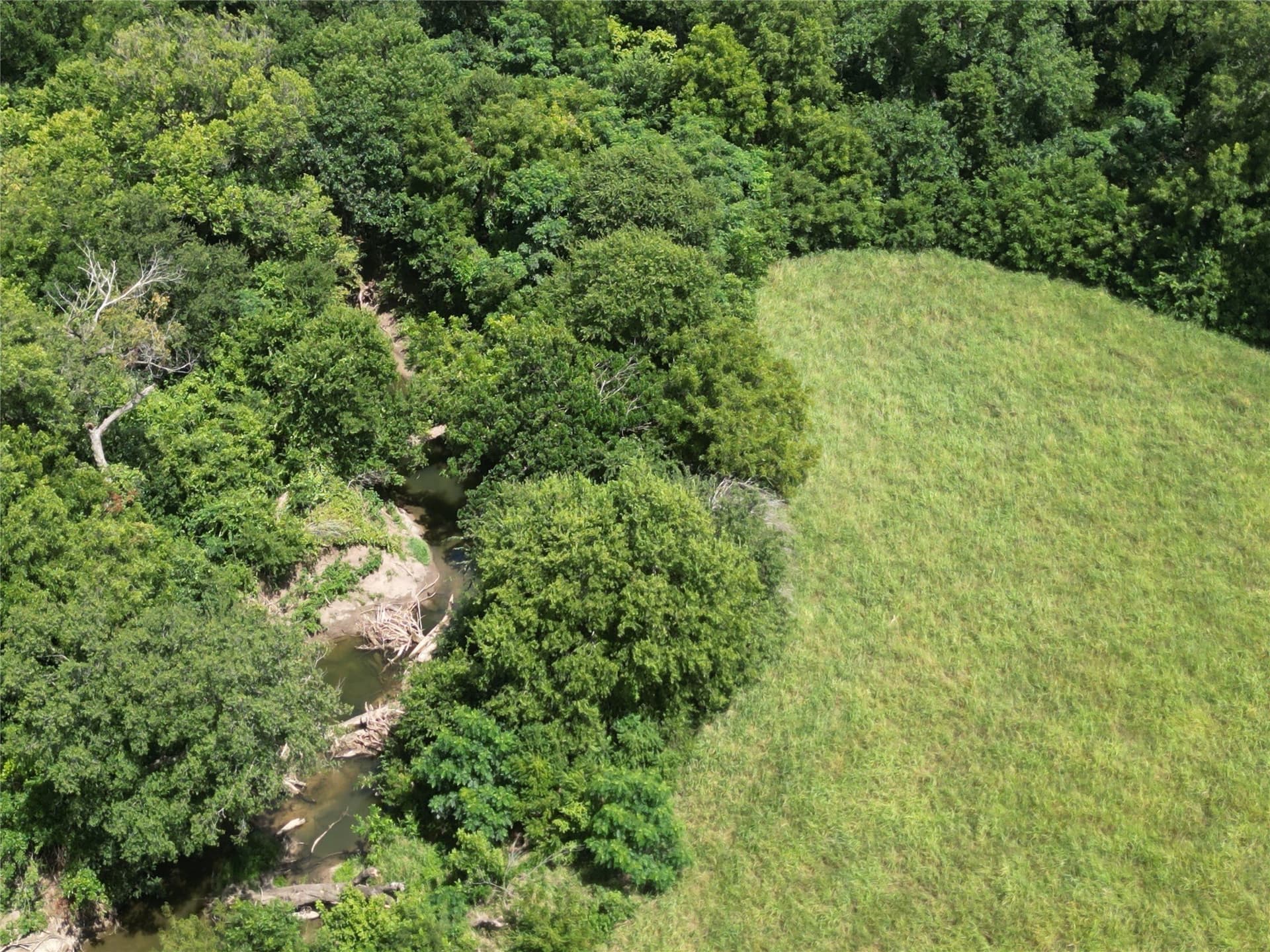 48.85 acres in Ellis County - photo 10