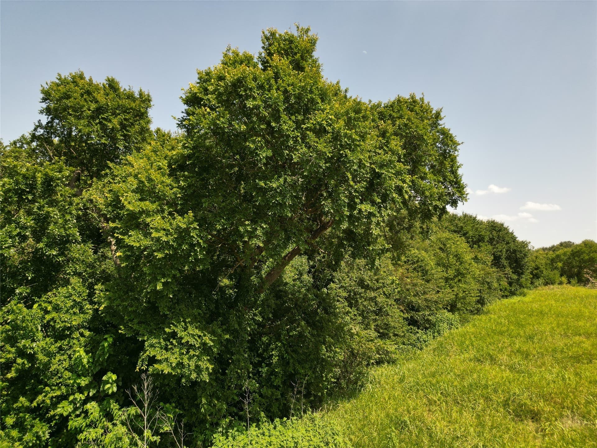 48.85 acres in Ellis County - photo 21