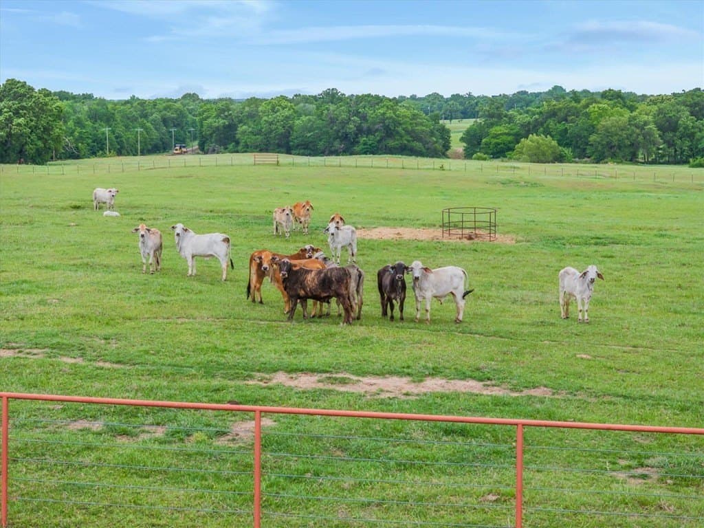 20.02 acres in Henderson County - photo 31