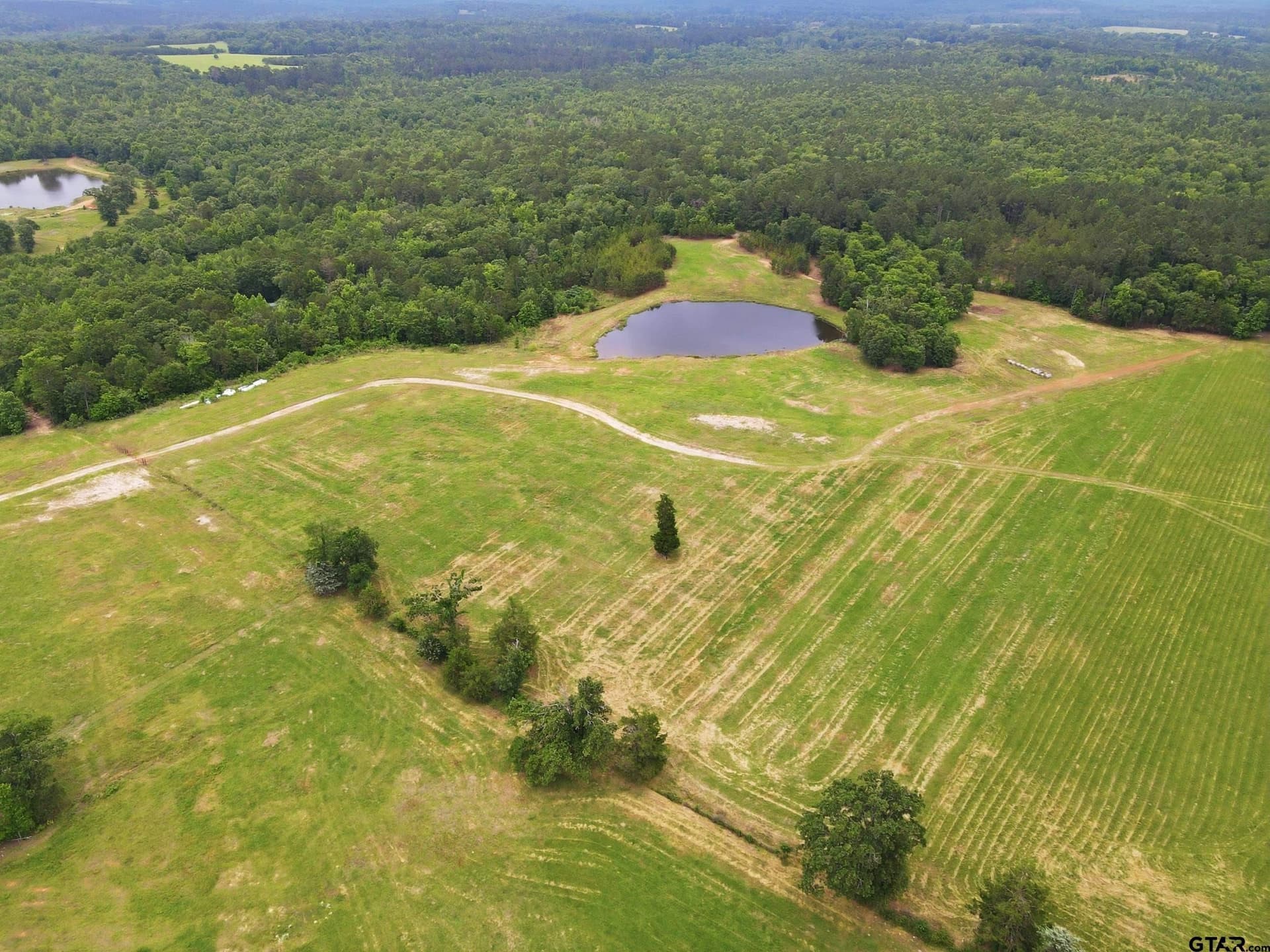 20 acres in Cass County gallery image 2