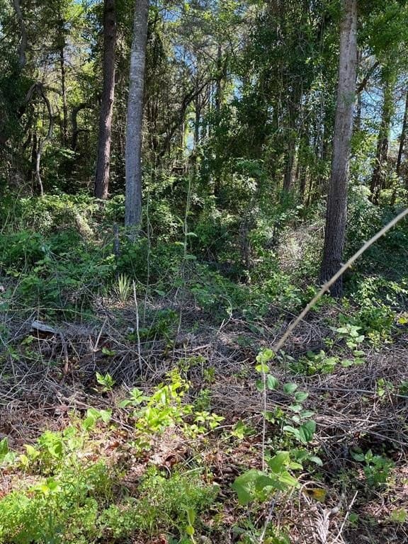 14.97 acres in Wood County gallery image 4