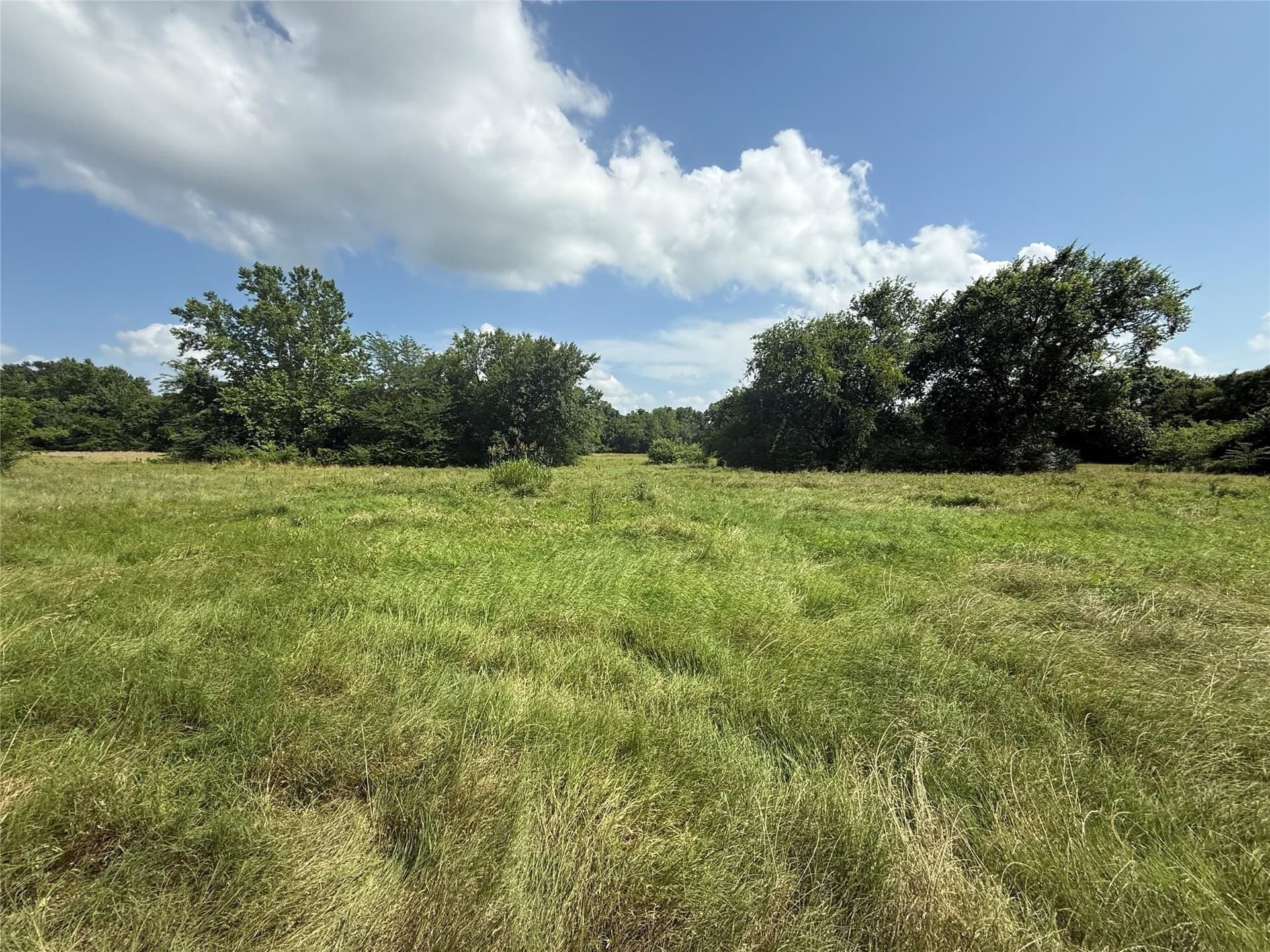 34.49 acres in Hopkins County - photo 7