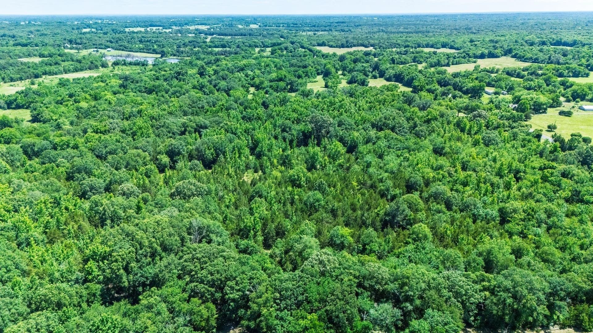 34.49 acres in Hopkins County - photo 4