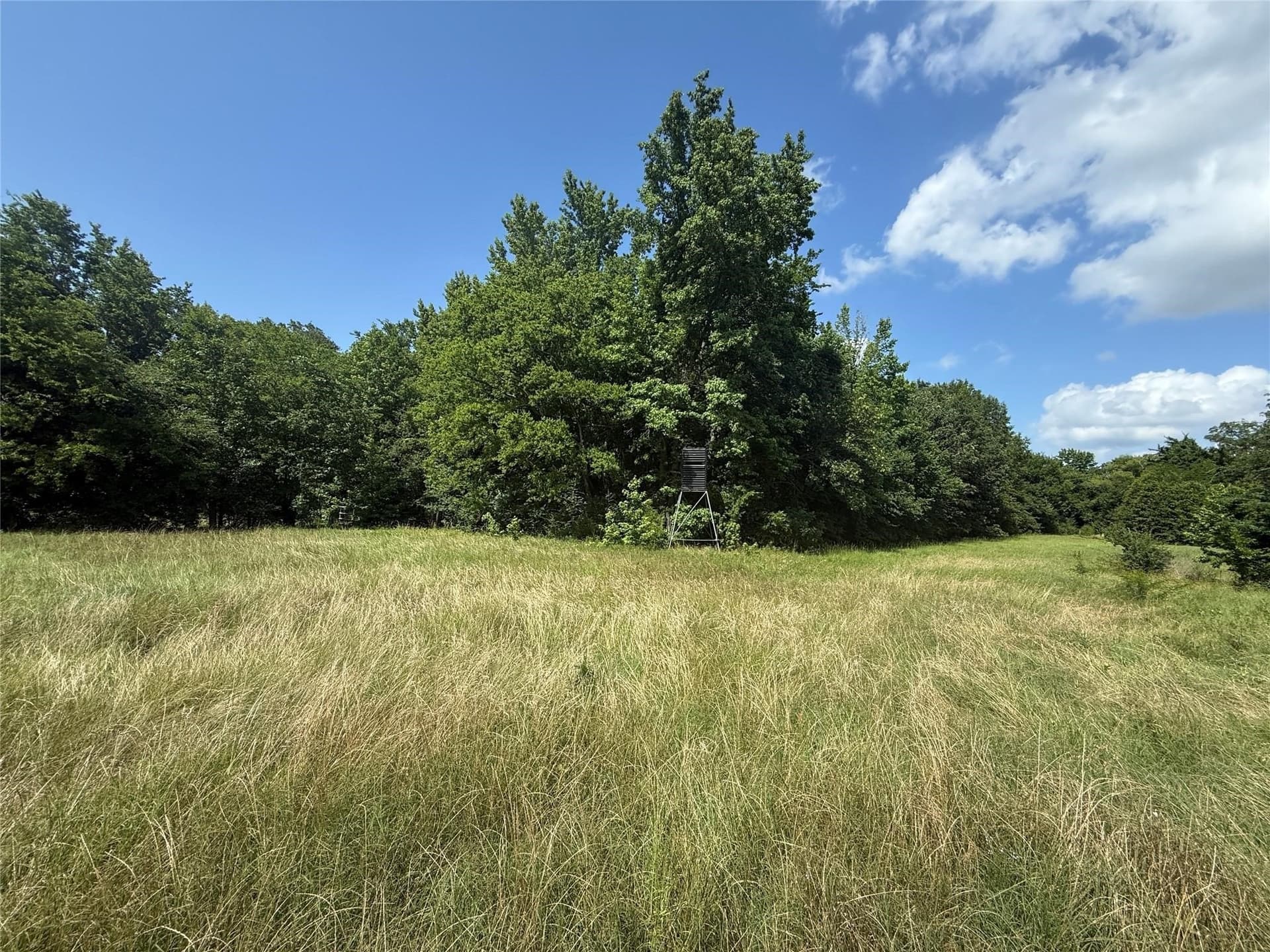 34.49 acres in Hopkins County - photo 3
