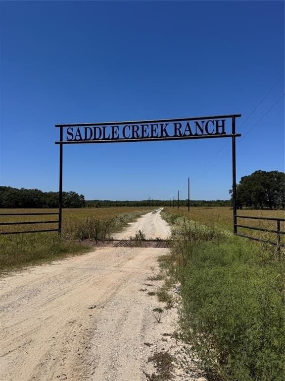 10.01 acres in Rains County gallery image 3