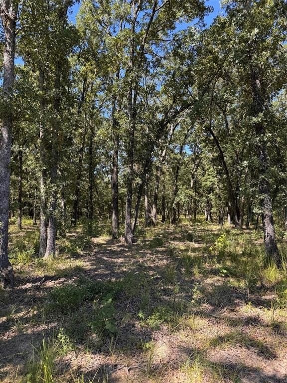 10.01 acres in Rains County featured view