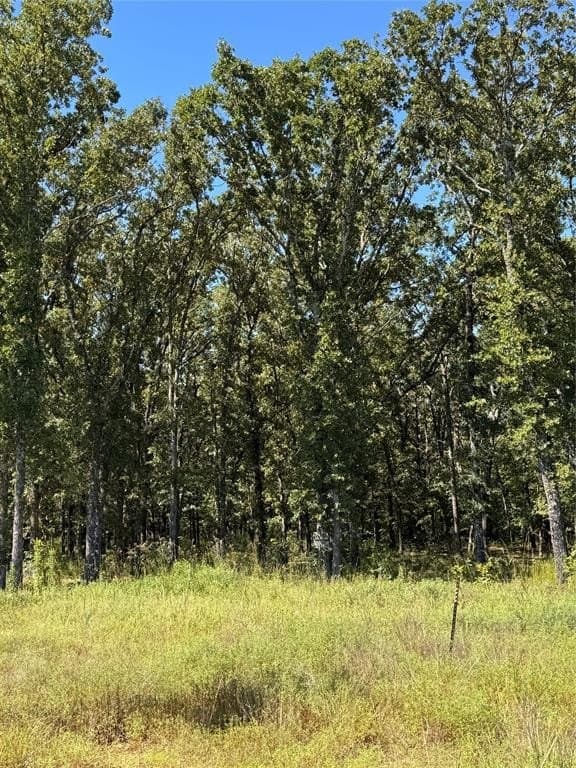 10.01 acres in Rains County gallery image 4