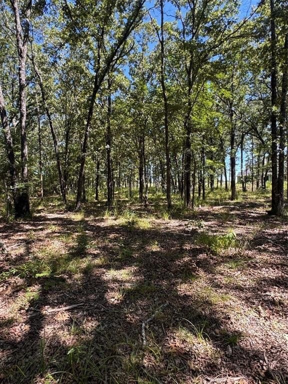 10.01 acres in Rains County gallery image 2