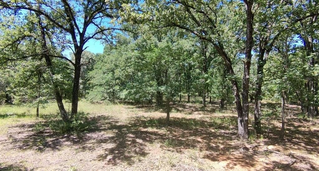 10.01 acres in Rains County