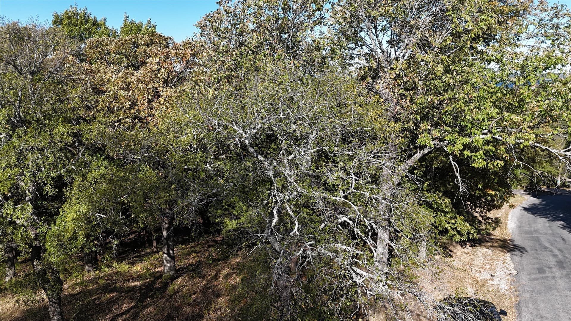 1.06 acres in Grayson County - photo 10
