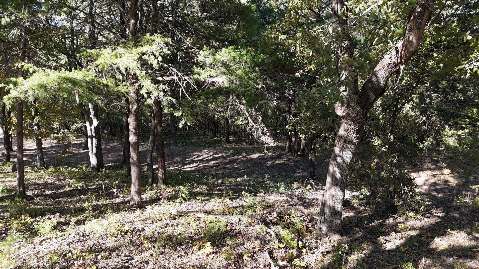 1.06 acres in Grayson County - photo 9