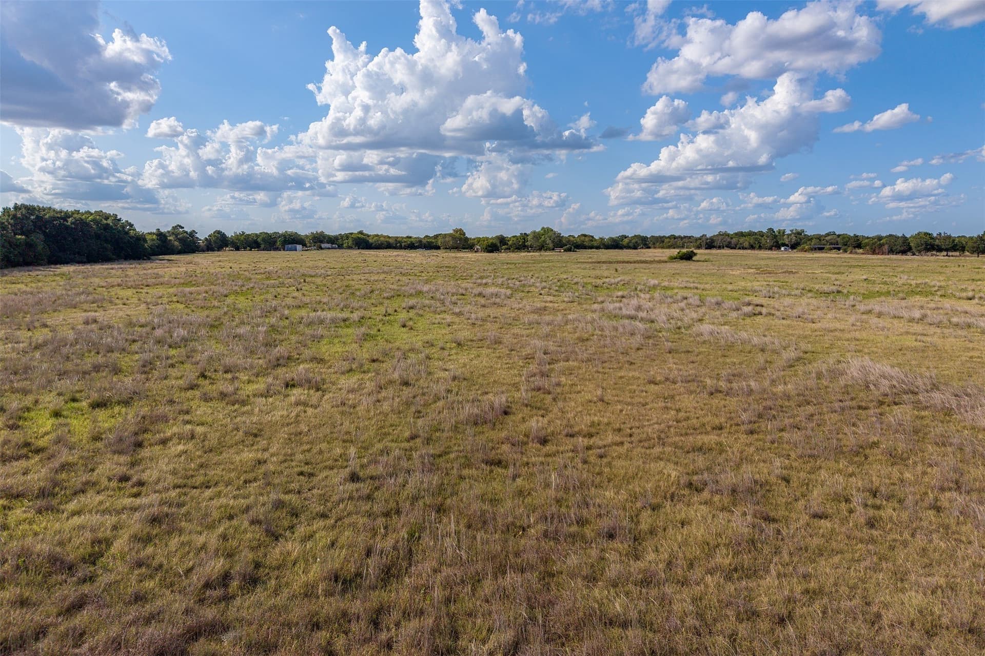 92 acres in Navarro County - photo 17